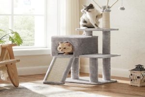 Lire la suite à propos de l’article ARBRE À CHAT : COMMENT CHOISIR LE MEILLEUR À L&rsquo;ARBRE À CHAT GRIFFOIR ?