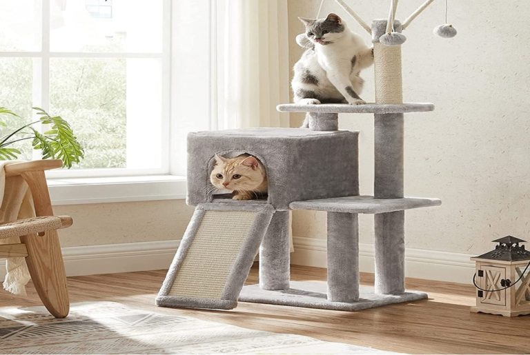 Lire la suite à propos de l’article ARBRE À CHAT : COMMENT CHOISIR LE MEILLEUR À L&rsquo;ARBRE À CHAT GRIFFOIR ?